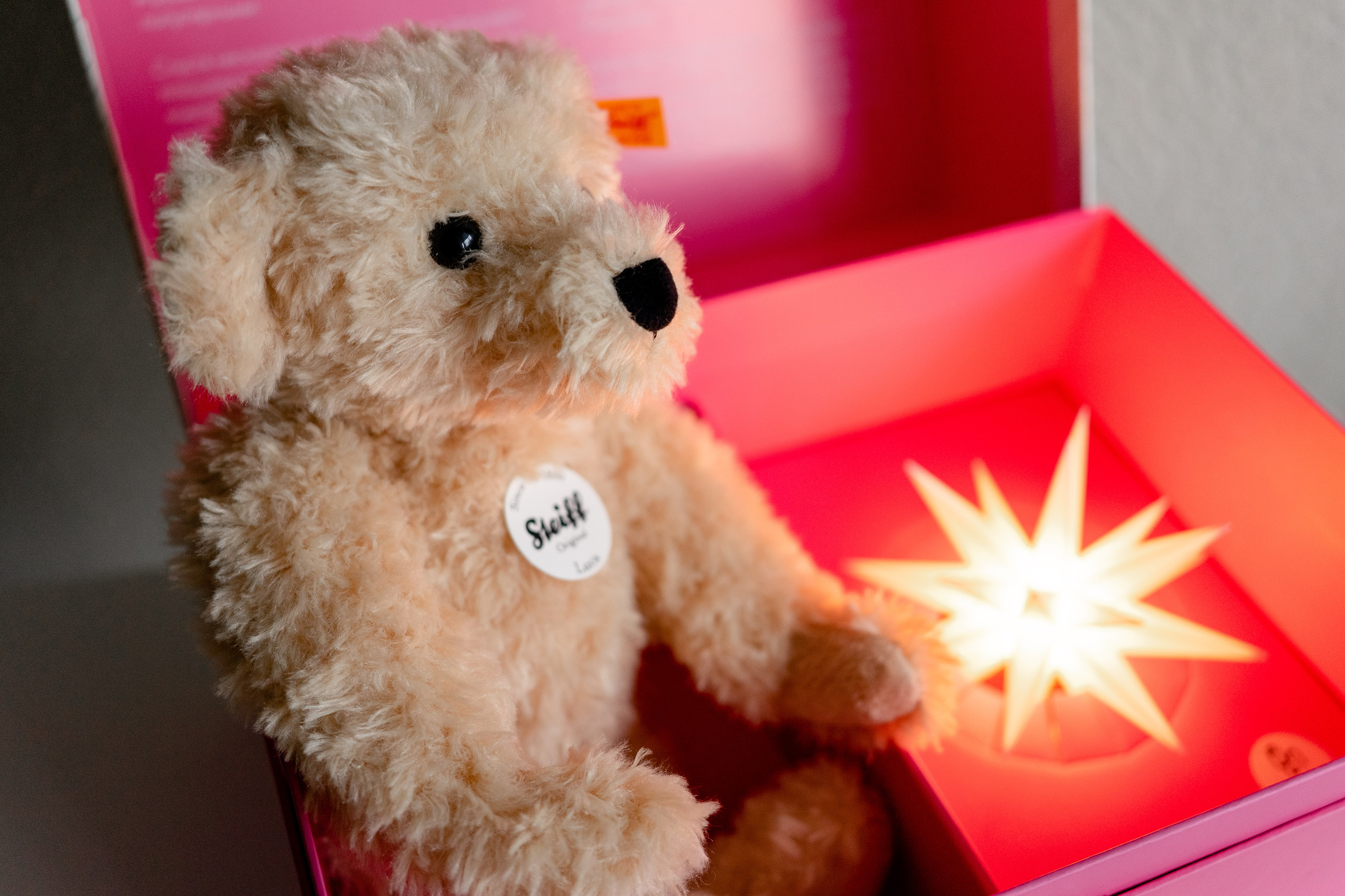 Подарочный набор с мягкой игрушкой «Медведь Тедди Лука», 30 см, бежевый