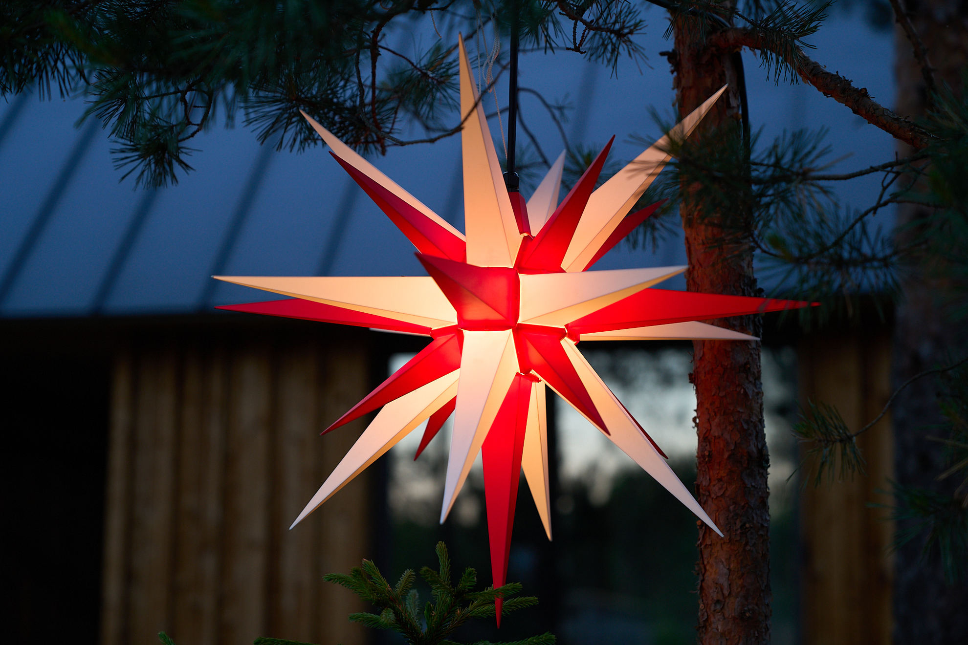 Звезда Гернгута (Ø 68 см), красно-белая, чёрный кабель (для улицы)